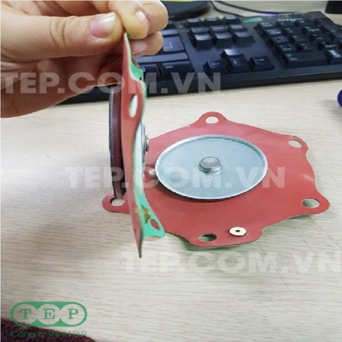 Màng van điện từ Teflon - Main Diaphragm